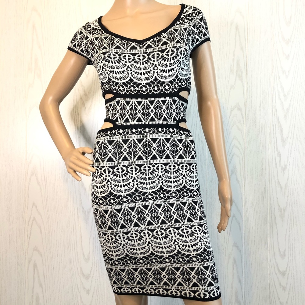 NWOT ALI & JAY Botanical Seduction Bodycon Dress